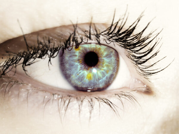 dreamstimesmall_20089450